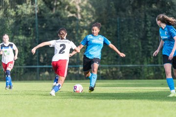 Bild 233 - wBJ VfL Pinneberg - Hamburger SV 2 : Ergebnis: 1:3